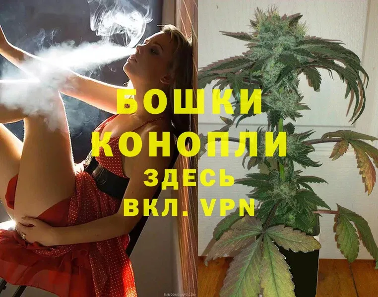 Бошки марихуана Ganja  где найти   Камешково 